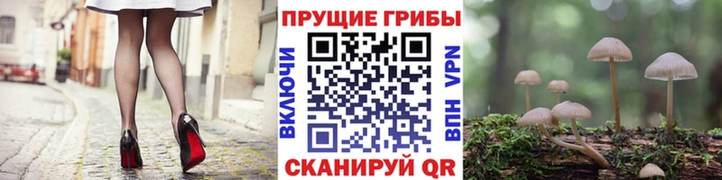 Псилоцибиновые грибы мицелий  Малаховка 